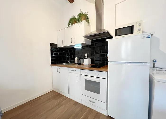 Apartament Roser